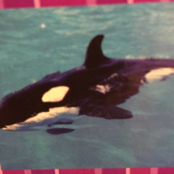 Giant Ocean Creatures Floor Puzzle - 26 Pieces - Interactive Learning - Picture 3 of 9